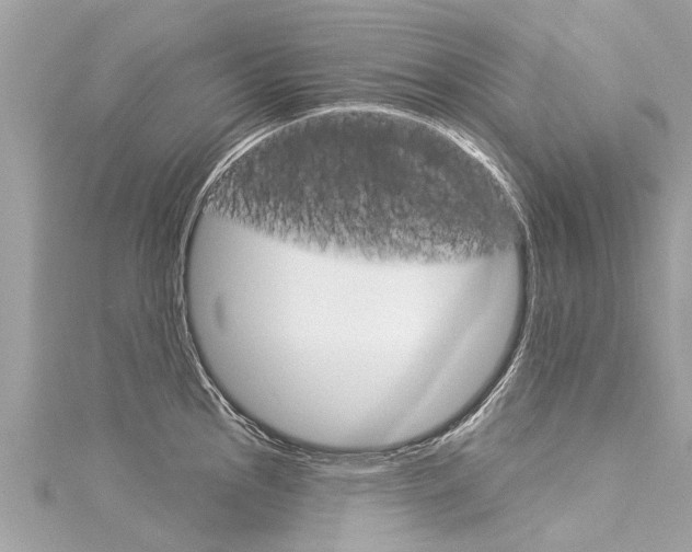 X0000116041145200911201016
