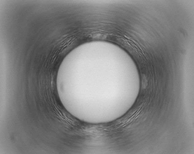 X0000116041154200911201015