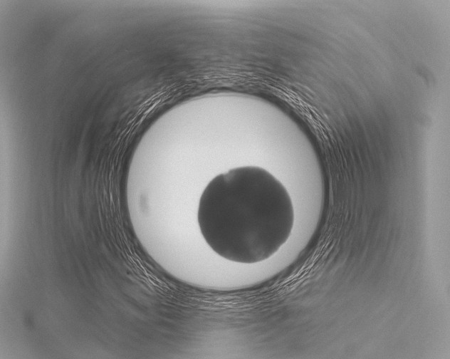X0000116041155200911201015