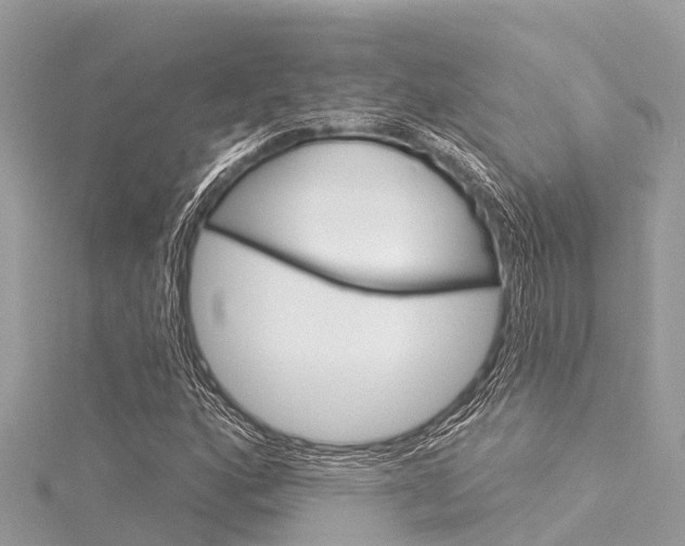 X0000116041160200911201015