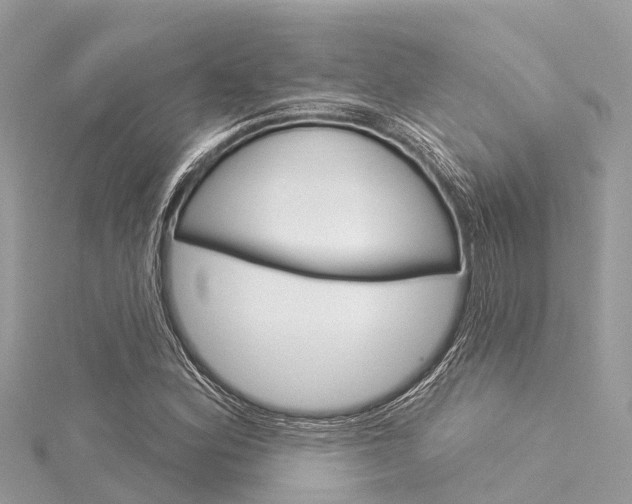 X0000116041164200911201015