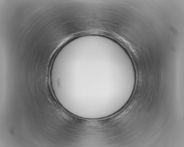 X0000116041170200911201015