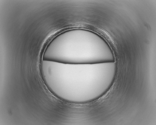 X0000116041172200911201015