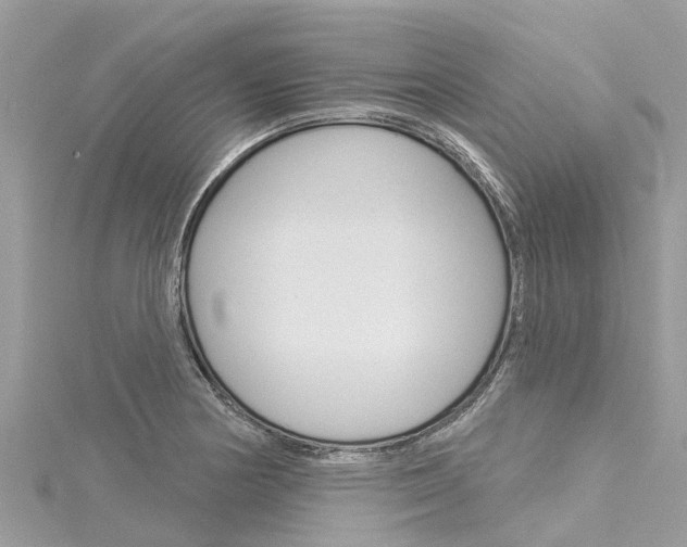 X0000116041178200911201015
