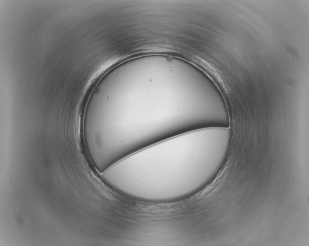 X0000116041179200911201015