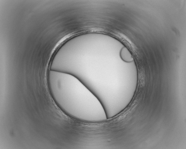 X0000116041182200911201015