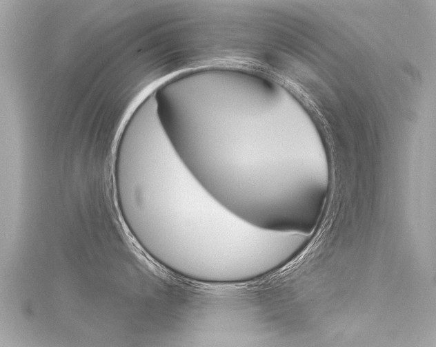 X0000116041200200911201014