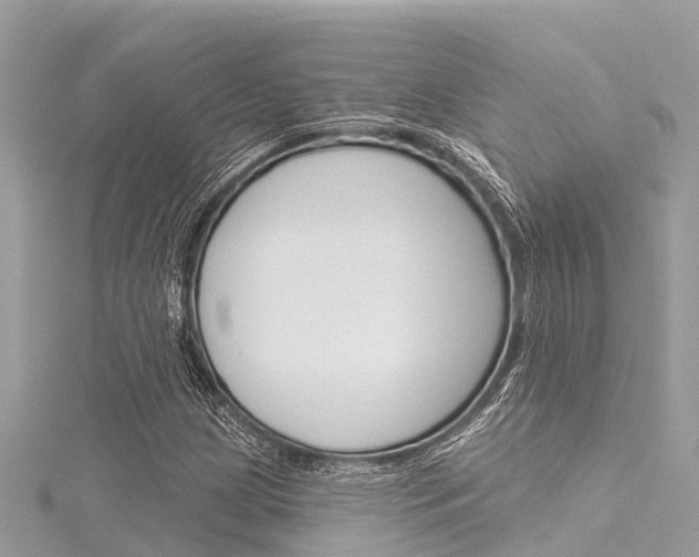 X0000116041209200911201014