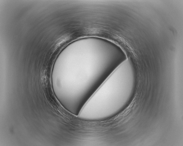 X0000116041210200911201014