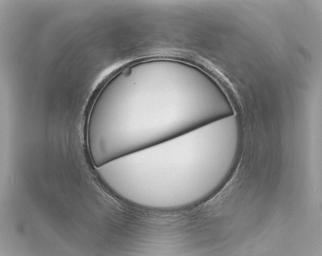 X0000116041222200911201014