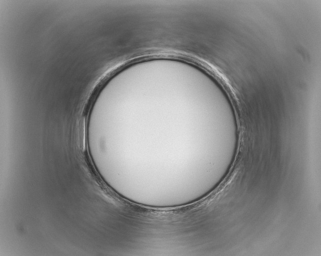 X0000116041223200911201014