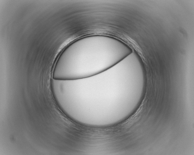 X0000116041226200911201014