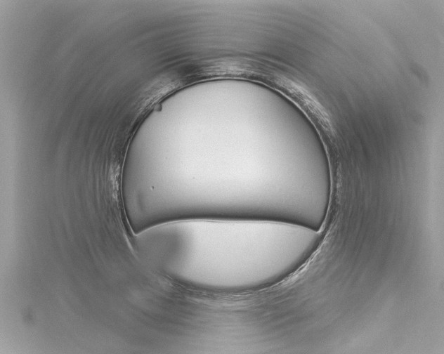 X0000116041233200911201014