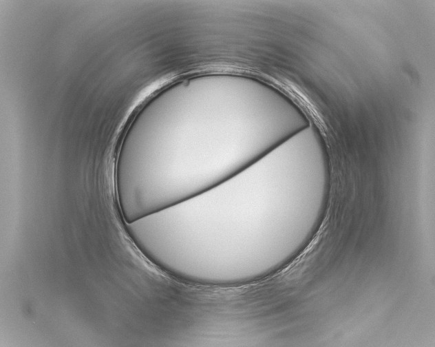 X0000116041238200911201014