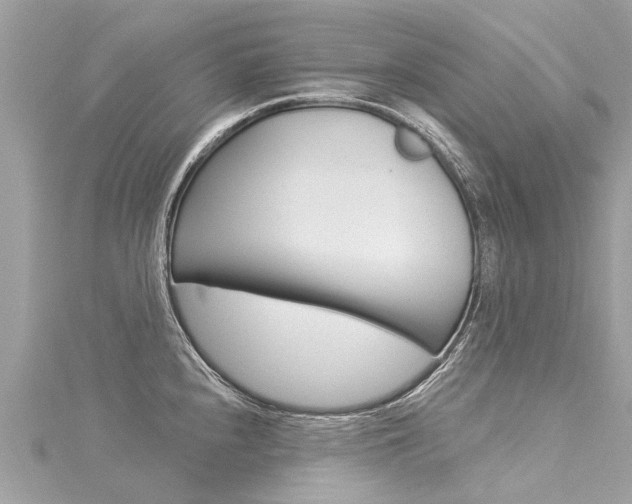X0000116041240200911201014