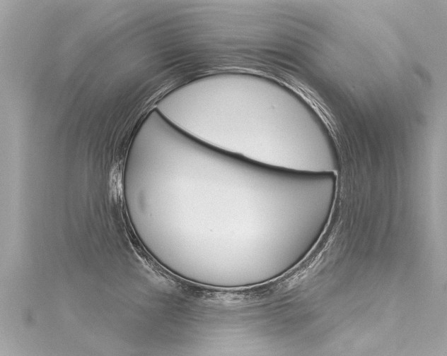 X0000116041241200911201014