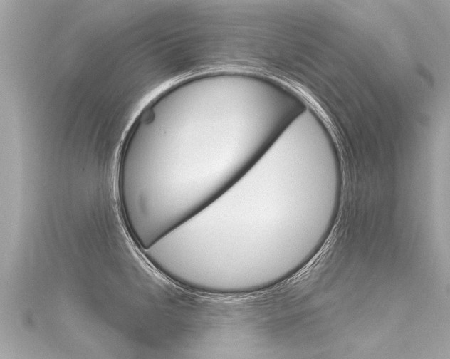 X0000116041246200911201014