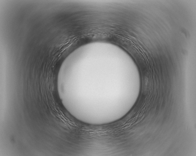 X0000116041250200911201014