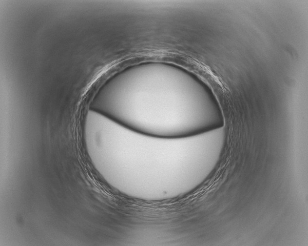 X0000116041256200911201014