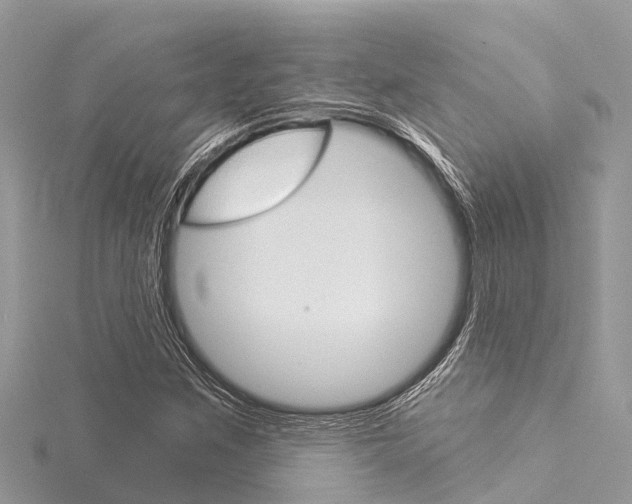 X0000116041259200911201014