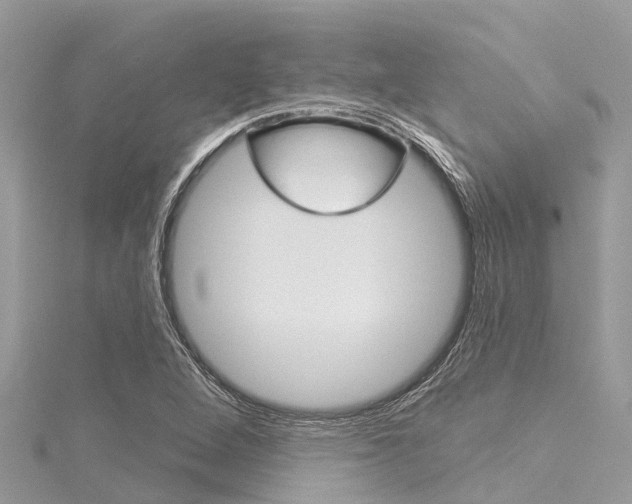 X0000116041264200911201013