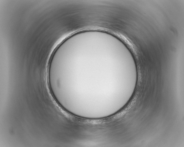 X0000116041286200911201013