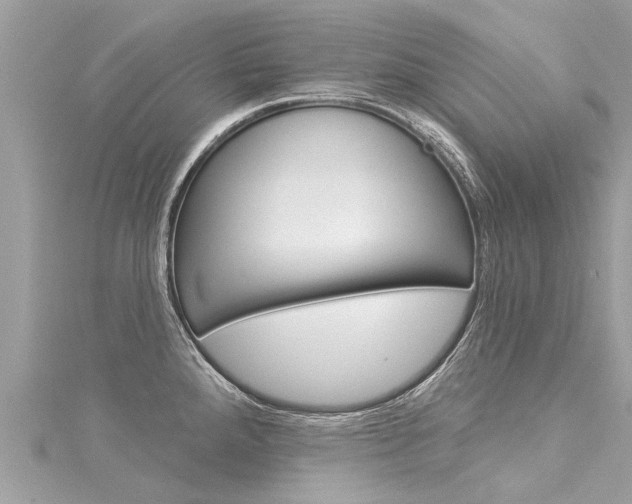 X0000116041288200911201013