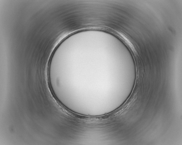 X0000116041291200911201013