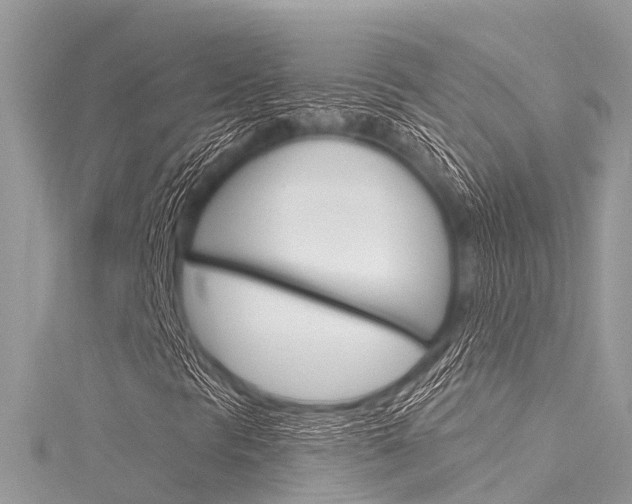 X0000116041297200911201012