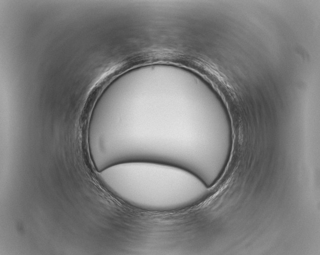 X0000116041309200911201012