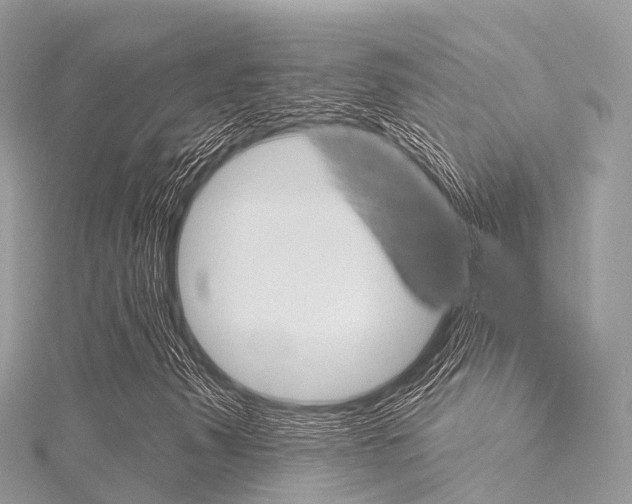 X0000116041347200911201012