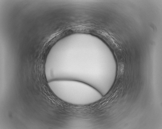 X0000116041350200911201012