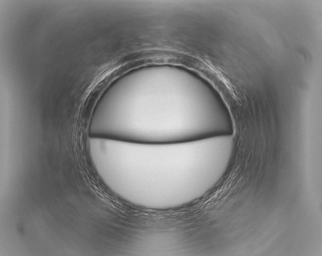 X0000116041352200911201012
