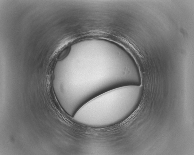 X0000116041355200911201012
