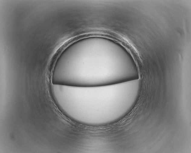X0000116041360200911201012