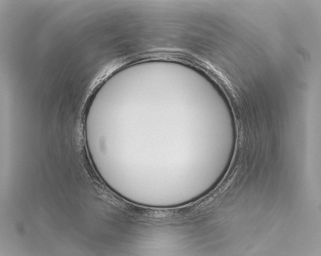 X0000116041362200911201012