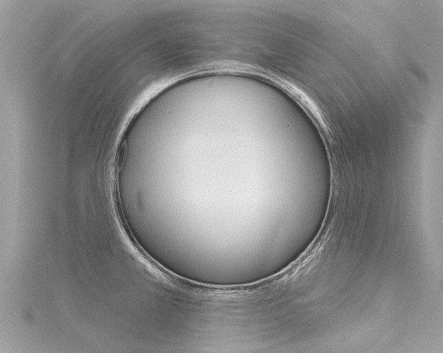 X0000116041381200911201012