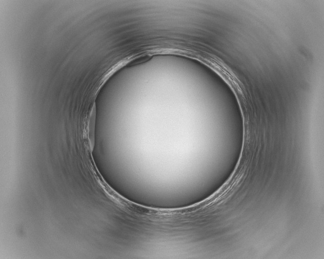 X0000116041385200911201012