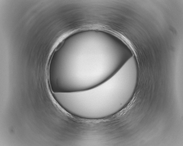 X0000116041389200911201012