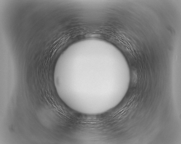 X0000116041393200911201011