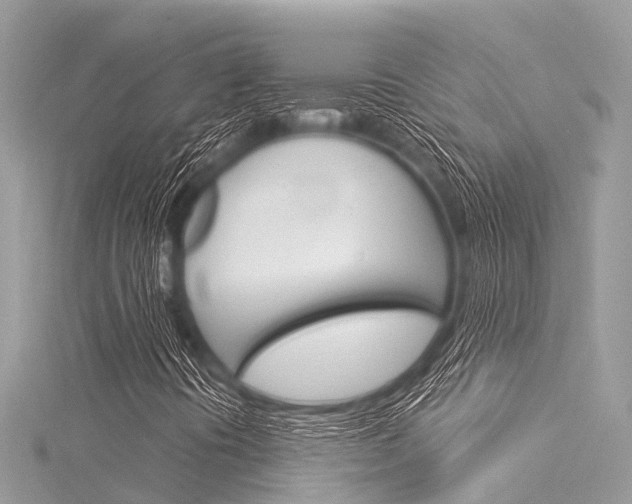 X0000116041394200911201011