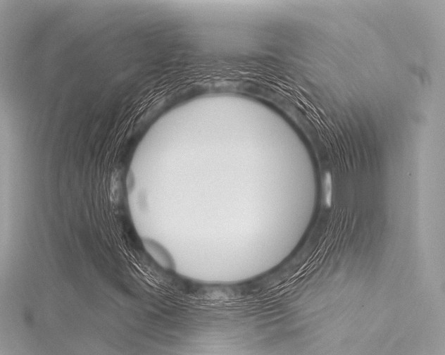 X0000116041395200911201011