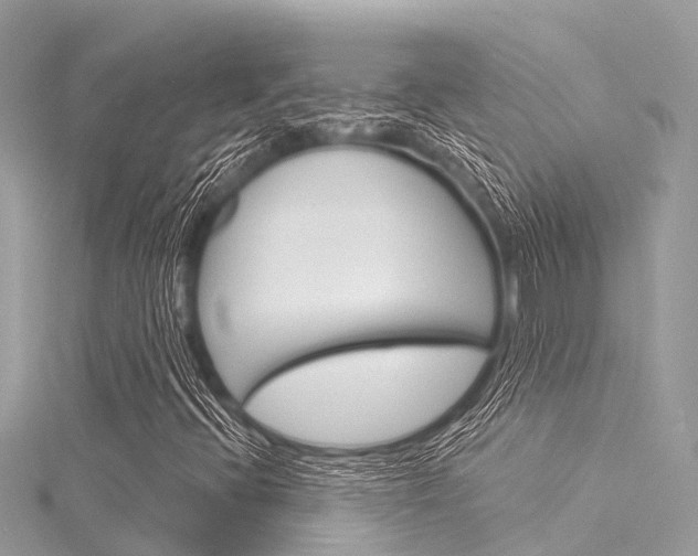 X0000116041396200911201011