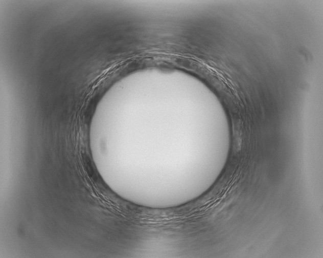 X0000116041397200911201011