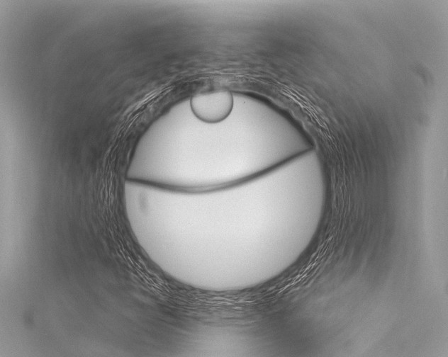 X0000116041398200911201011