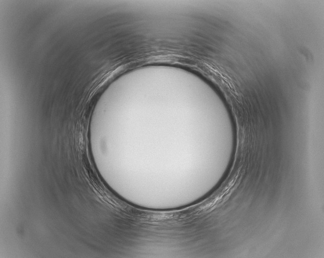 X0000116041401200911201011