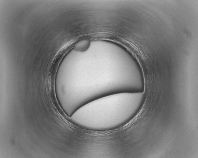X0000116041402200911201011