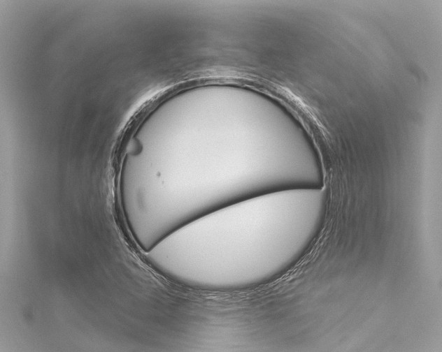 X0000116041408200911201011