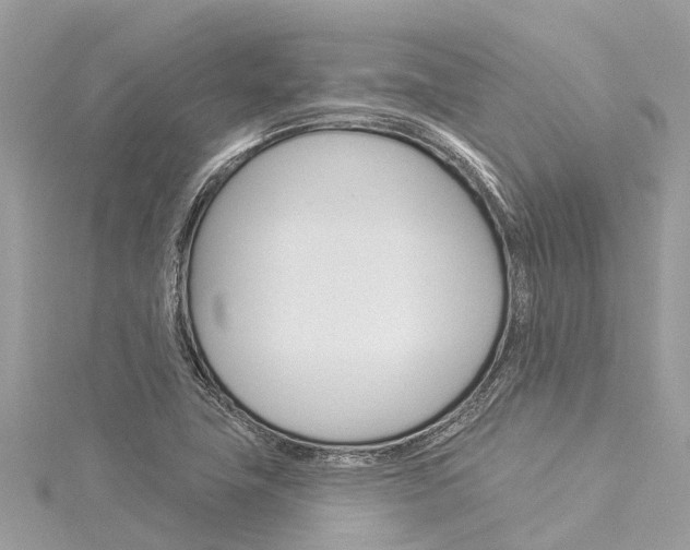 X0000116041411200911201011