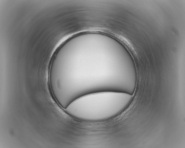 X0000116041420200911201011